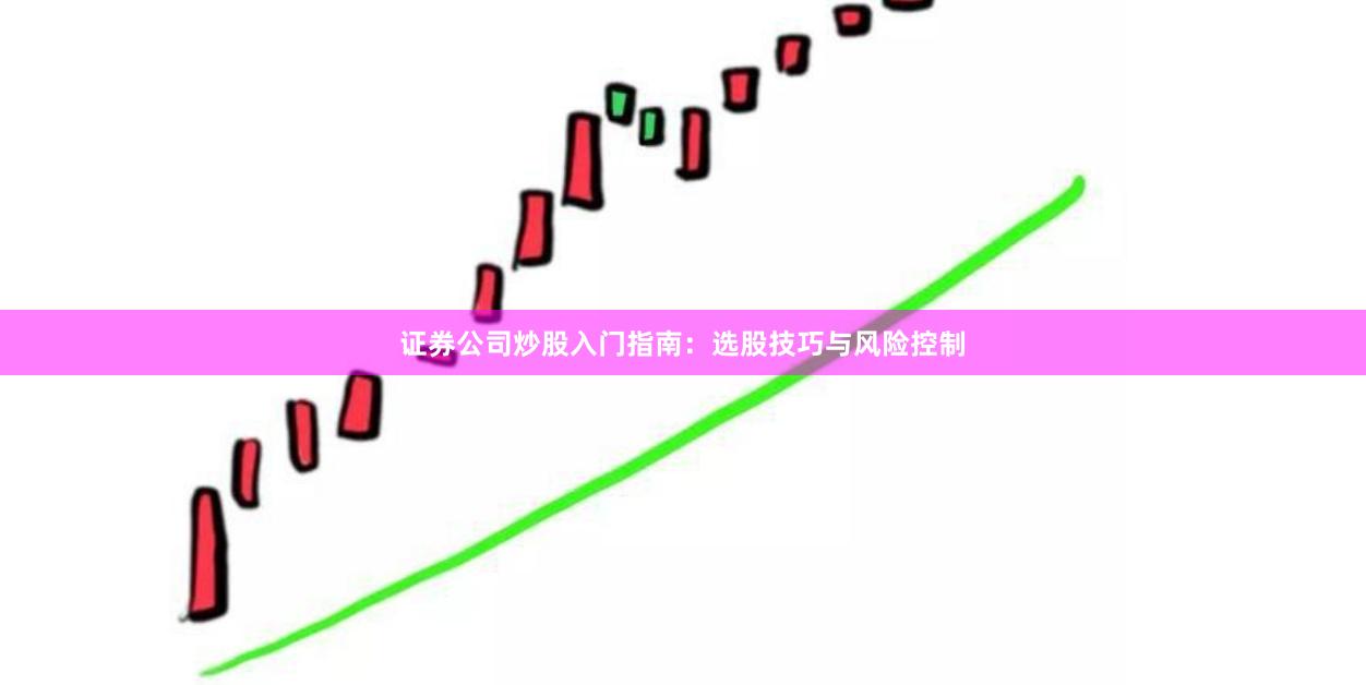证券公司炒股入门指南：选股技巧与风险控制