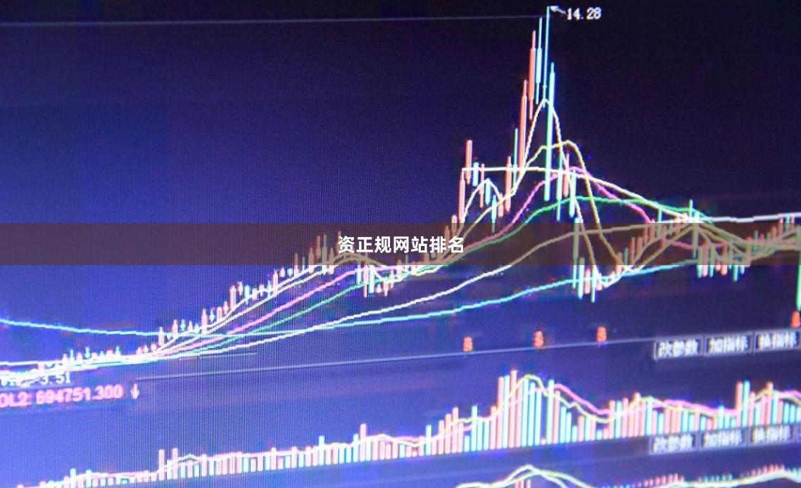 资正规网站排名